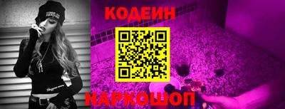индика Аргун