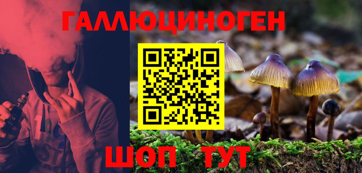 Псилоцибиновые грибы Magic Shrooms  Вход с VPN  Асино 